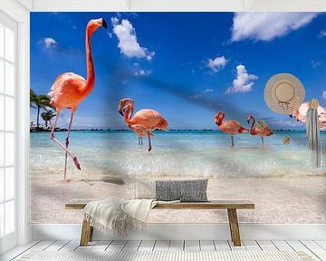 Flamingos up close and personal by Vivianne Molenaar-Seinen