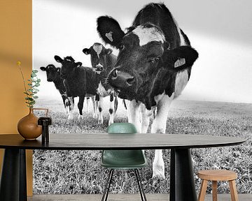 Curious by Art Berkelland