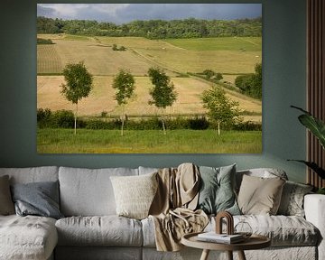 Bomen voor korenveld by Jim van Iterson