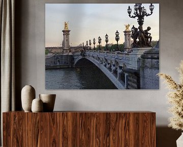 Pont-Alexandre-||| Parijs van Nicole  Brouwer