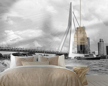 Rotterdam, Port, Deloitte office, Erasmus Bridge by Henriëtte Hoffs