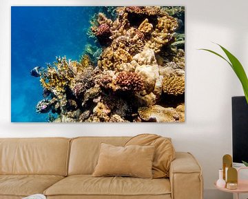 grillig koraal by John van Weenen