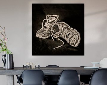 Vieilles chaussures - Robin sur Marian Waanders