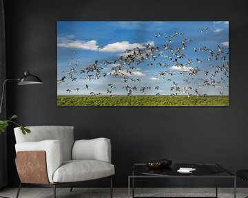 Een vlucht ganzen boven het natuurgebied De Wadden by Harrie Muis