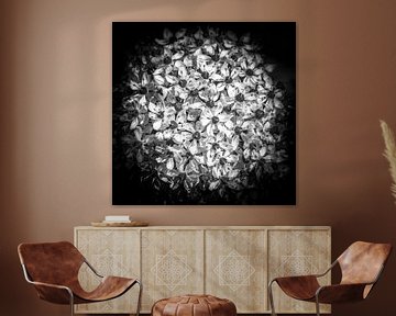 closeup van een bloem in zwart-wit van Marc Goldman