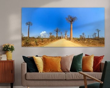 Baobab panorama sur Dennis van de Water