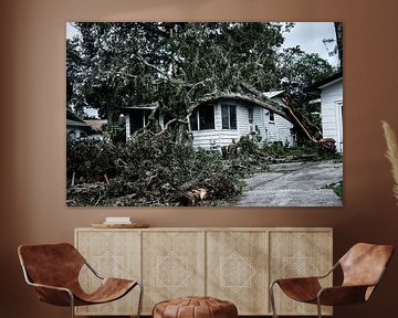 De verwoesting van Orkaan Irma van Jop Beuger