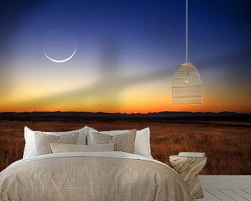 New moon landscape by Dennis van de Water