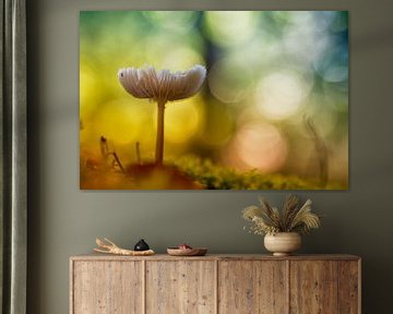 Betoverende paddenstoel (kleur versie) van Cor de Hamer