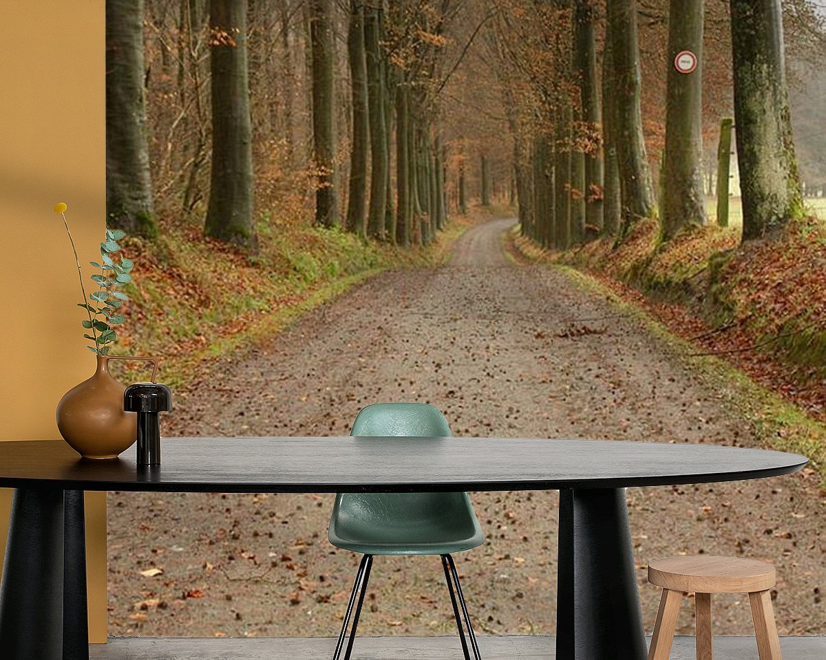 Raumvorschau