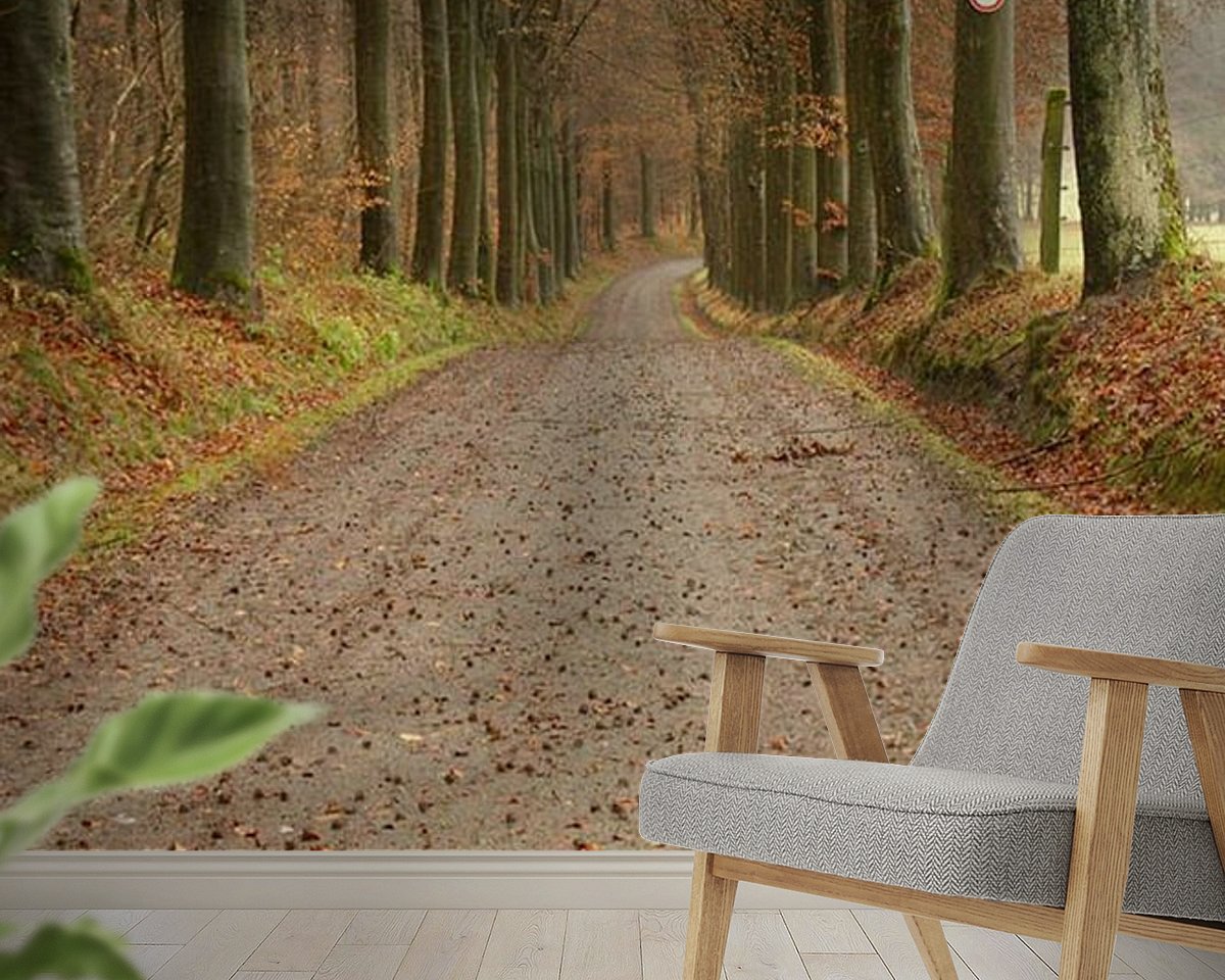 Raumvorschau
