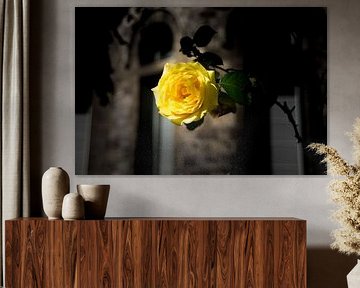 De gele bloem 
