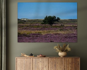 Natuurfoto Texel  sur Jolien Luyten