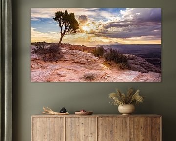 Majestueus uitzicht Canyonlands van Samantha Schoenmakers
