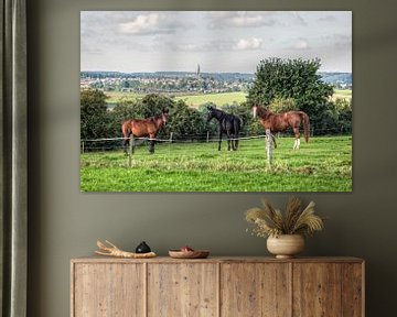 Pferde auf der Wiese mit Blick auf Vijlen von John Kreukniet