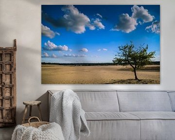 Loonse en drunense duinen van Miranda Rijnen Fotografie