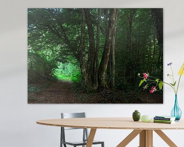 sentinels between shadow and light by Karel Evenhuis