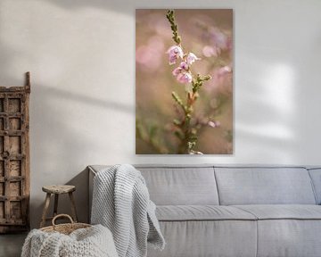 Heidebloem by Marianne Rouwendal