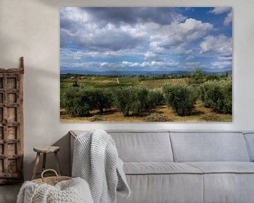 Toscaans landschap van Tess Groote