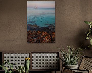 Platja de Migjorn, Formentera - Balearic Islands - Spain van Van Oostrum Photography