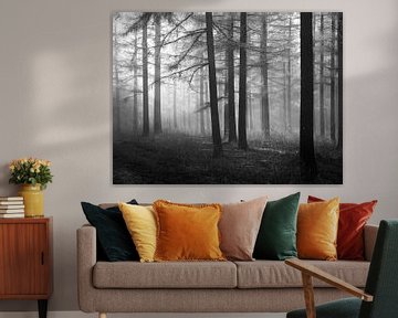 Bos van Lariks bomen in zwart-wit van Corinne Welp