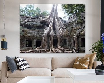 Tree growing through Angkor Thom van Daniel Chambers