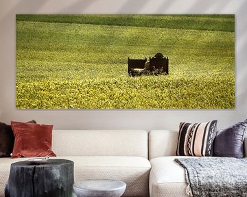 A bed in the cornfield - Panorama van Ruth Klapproth