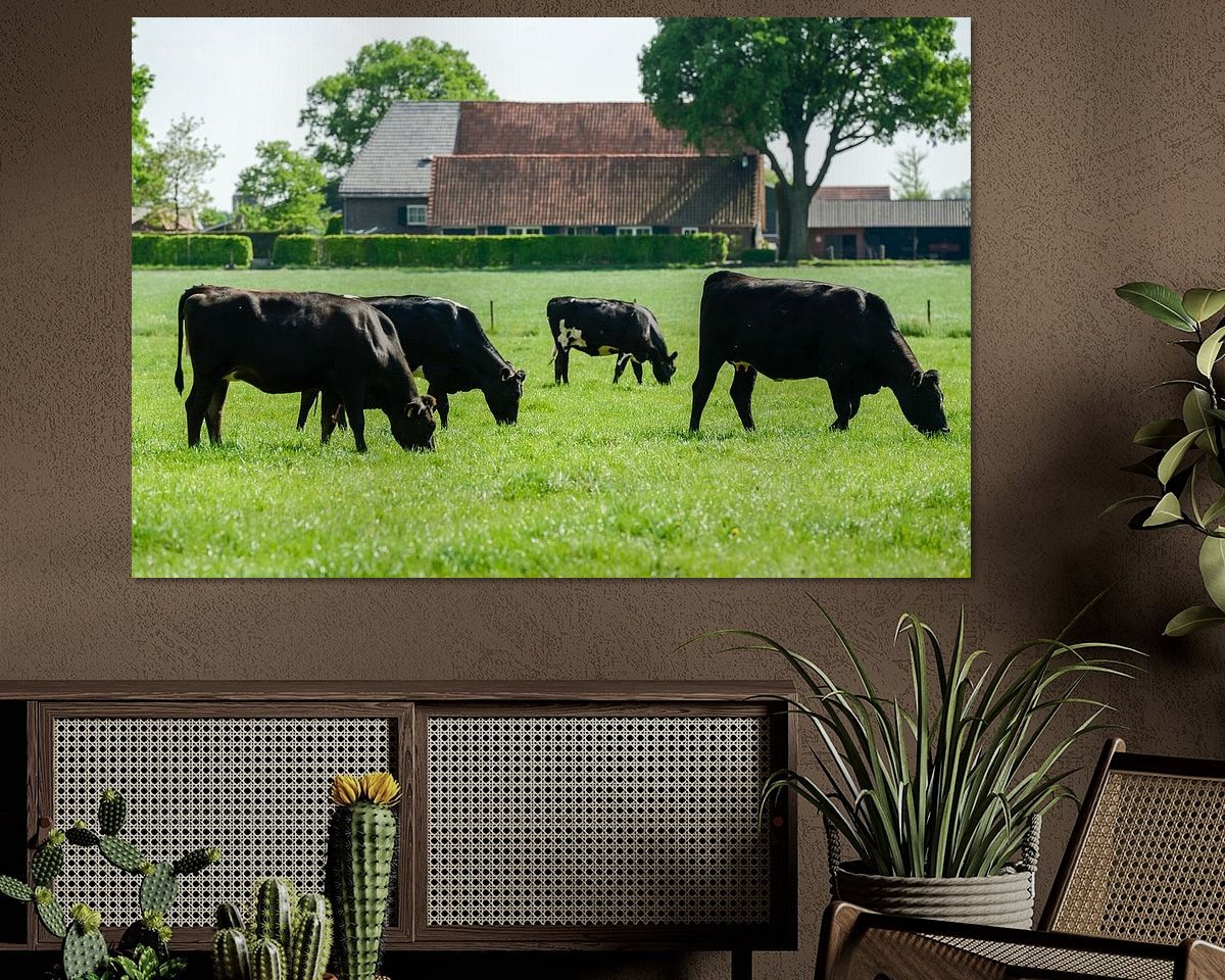 Raumvorschau
