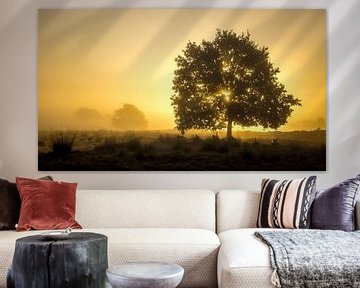 Golden sunrise sur Martzen Fotografie