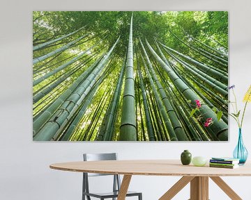 Bamboo forest von Peter Postmus