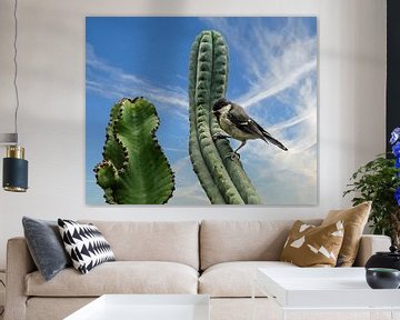 Meise und Kaktus von georgfotoart