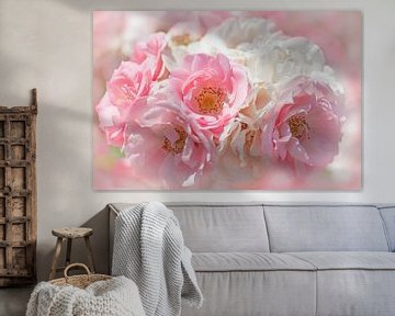 pink roses with soft frame by SusaZoom