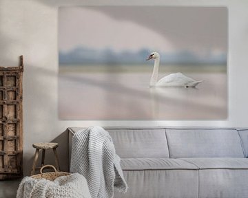 Swan by Menno Schaefer