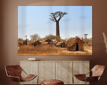 Leven onder de Baobabs by Dennis van de Water