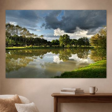 Water reflection trees