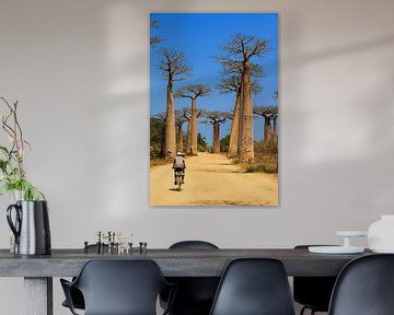 Baobab fietser van Dennis van de Water