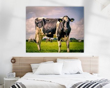 A cow is cow is a........ van Ciska