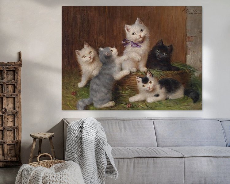 Aperçu de la chambre