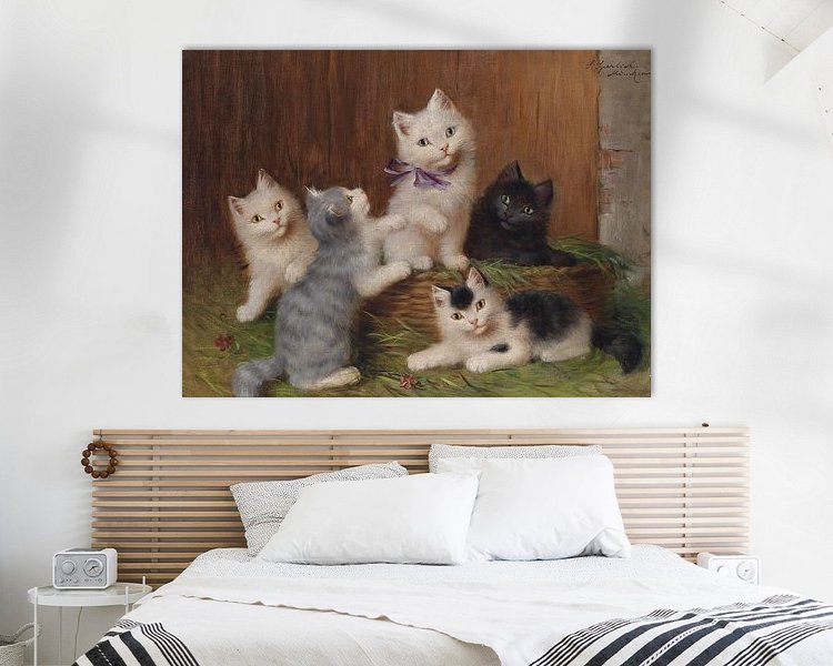 Aperçu de la chambre