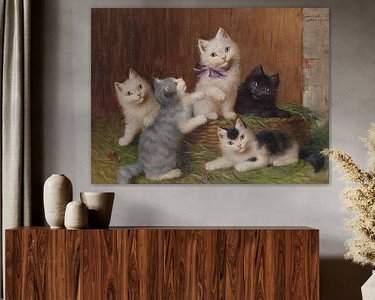 Aperçu de la chambre