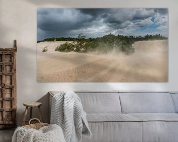 Storm - Loonse en Drunense Duinen van Laura Vink