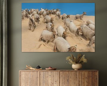 Sheep - Loonse and Drunense Dunes by Laura Vink