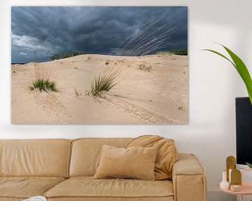 Threatening sky - Loonse and Drunense Dunes by Laura Vink