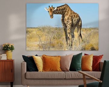 Giraffe in Namibia, Africa sur E. Blaauwwiekel