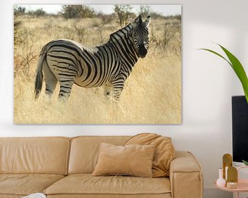 Zebra in Namibië, Afrika van E. Blaauwwiekel