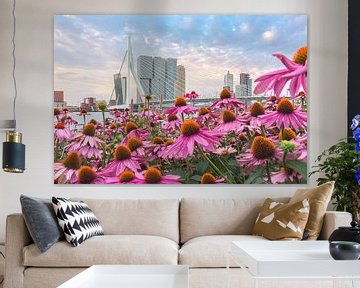 Colourful flowers for the skyline of Rotterdam by Prachtig Rotterdam