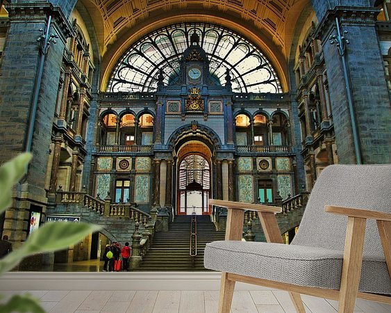 Aperçu de la chambre