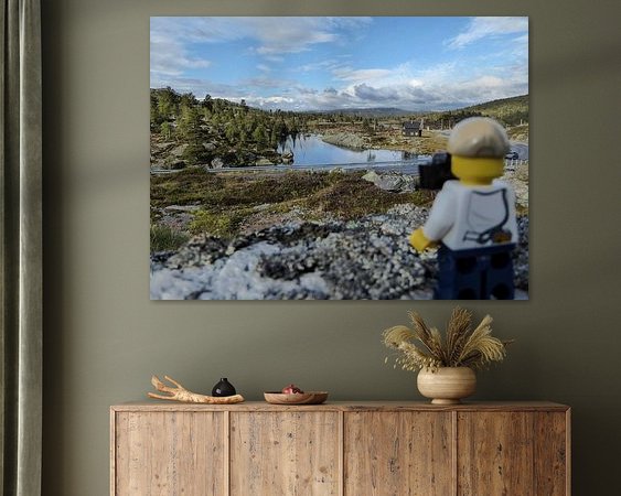 Aperçu de la chambre