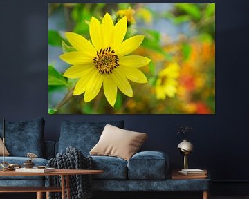 Sonnenblume von Corinne Welp
