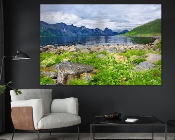 Mefjorden on the Island of Senja by Gisela Scheffbuch